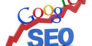 Search Engine Optimisation Services