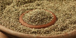 Ajwain Seeds