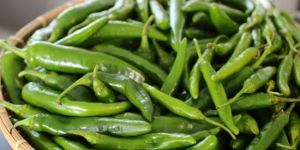 Fresh Green Chilli