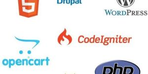 Drupal Website Development Services