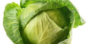Fresh Cabbage