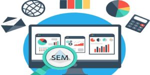 Search Engine Marketing Services