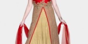 Embroidered Lehnga Choli