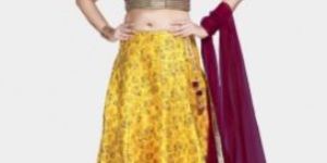 Hand Embroidery Lehnga Choli