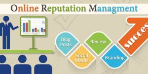 Online Reputation Management Services