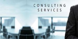 Visa Consultant Services