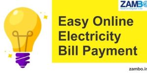 Electricity Bill Payment Services