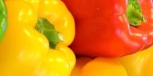 Bell Pepper