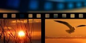 Video Presentation Services