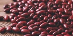 Kidney Red Beans