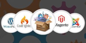 Custom CMS Development Services