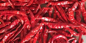 Dry Red Chilli