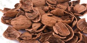 Walnut Shells