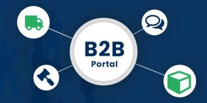 b2b Portal Development