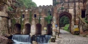 Same Day Ranthambore Tour