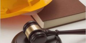 Labour Law Licensing Services