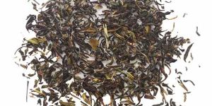 Darjeeling Rich Black Blend Tea