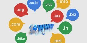 Domain Hosting Services