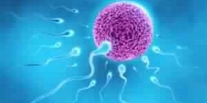 Infertility Treatment Service