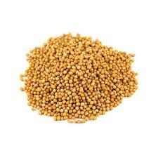 Organic Yellow Mustard Seeds