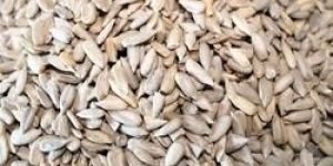 Hulled Sunflower Seeds
