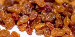 Golden Raisin