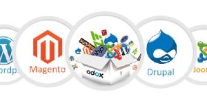 Ecommerce Website Development Services