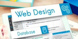 Web Designing Course
