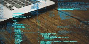 Web Development Course