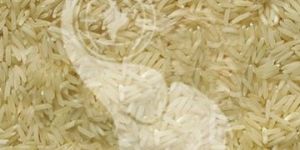 Sharbati Basmati Rice