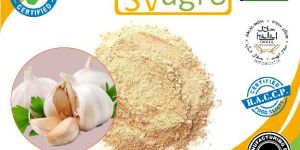 Garlic Extract Powder