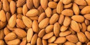 Almond Nuts