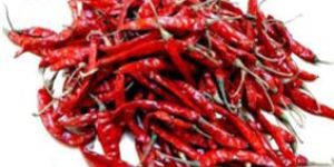 Teja Dry Red Chilli
