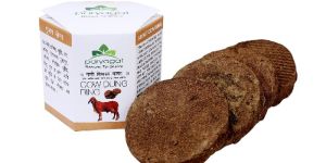 Cow Dung Cake