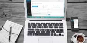 Wordpress Development Services