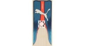 English Willow Cricket Bat