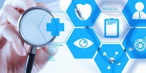 Mbbs Education Consultancy Service