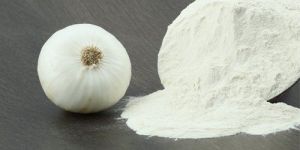 Spray Dried White Onion Powder