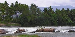 Self Drive Car Rental Services in Theni
