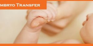 Blastocyst Embryo Transfer