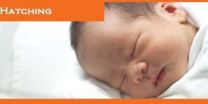 Laser Hatching Treatment
