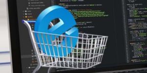 Ecommerce Website Development Services