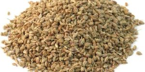Ajwain Oil