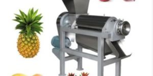 Fruit Juice Machine