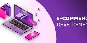 e-commerce Development Services