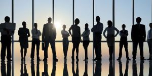 Bulk Hiring Services