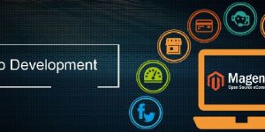 Magento Development Services