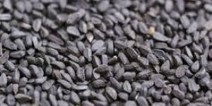 Black Cumin Seeds