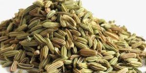 Fennel Seeds