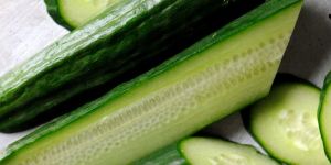 Organic Cucumber